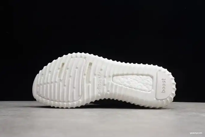 YEEZY 350 Turtle Dove Adidas Boost AQ4832 0506